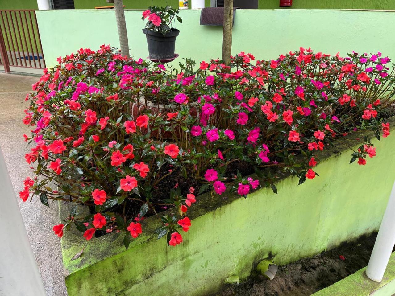 Pesqueiro Restaurante E Pousada Pingo De Ouro ปิเอดาจี ภายนอก รูปภาพ